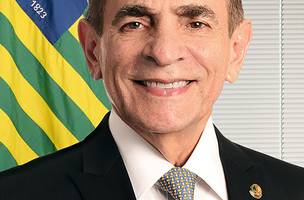 Marcelo Castro (Foto: Senado)
