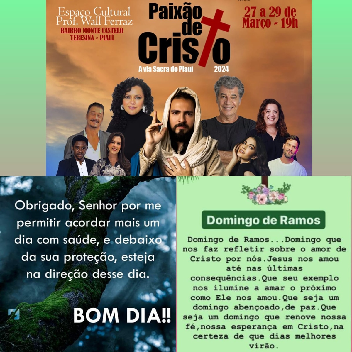 Pensamento do dia.