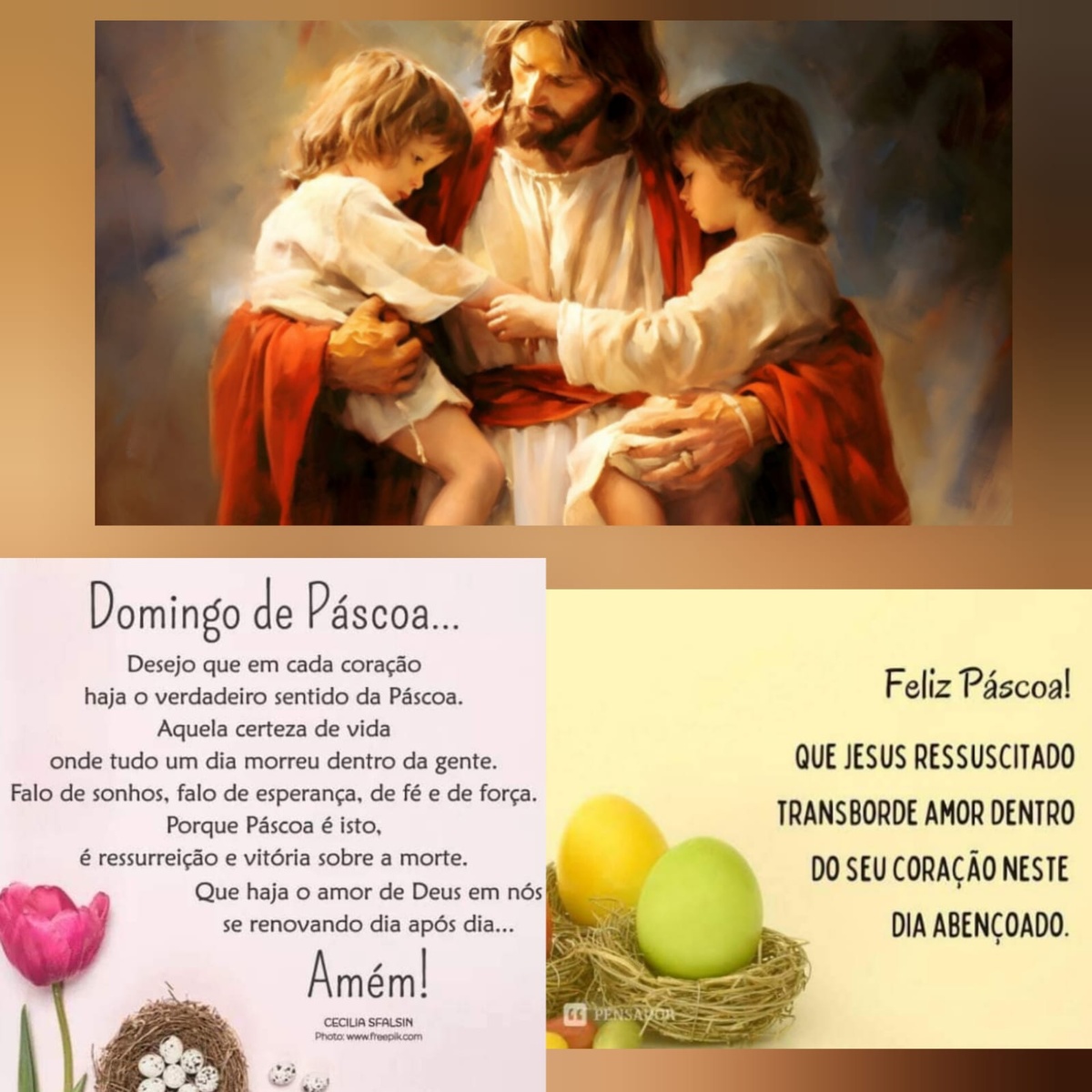 Pensamento do dia