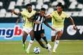 Botafogo recebe o LDU em duelo decisivo para a Libertadores no Nilton Santos