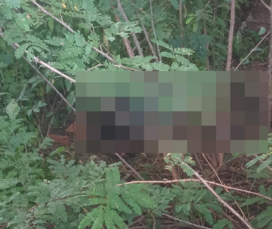 Corpo de homem estado avançado de decomposição é encontrado em uma matagal