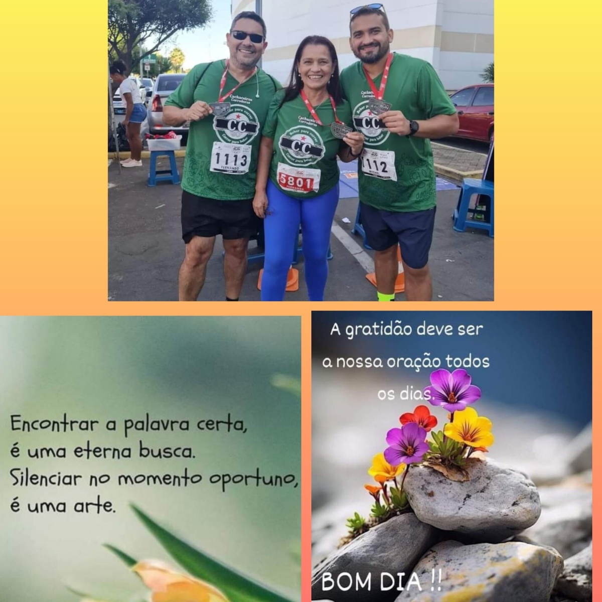 Pensamento do dia