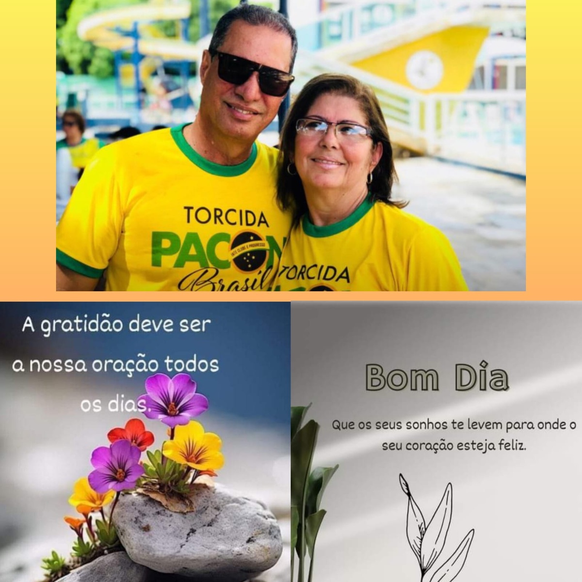 Pensamento do dia