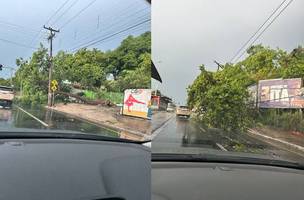 Chuvas fortes em Teresina (Foto: Reprodução)