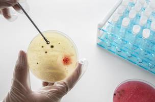 Composição química do dia da ciência mundial natureza morta (Foto: Freepik)