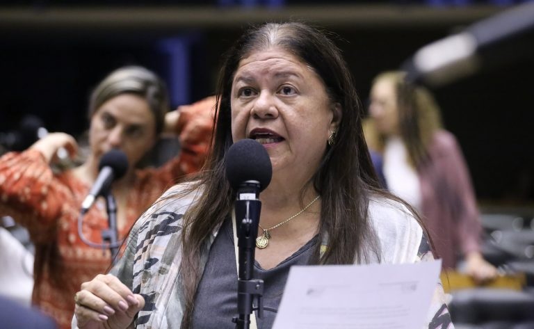 Laura Carneiro, a autora da proposta