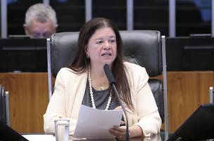 Laura Carneiro: texto aprovado aprimora o regramento previsto na Lei Maria da Penha (Foto: Bruno Spada / Câmara dos Deputados)