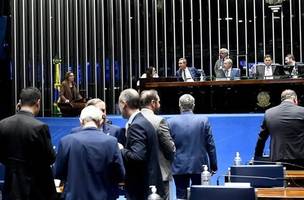 OK (Foto: Senado Federal)