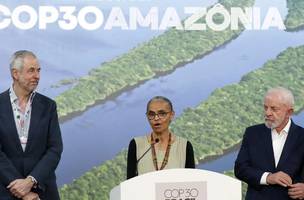 Alemanha dará 1 bilhão de euros para florestas tropicais (Foto: Bruno Peres/Agência Brasil)