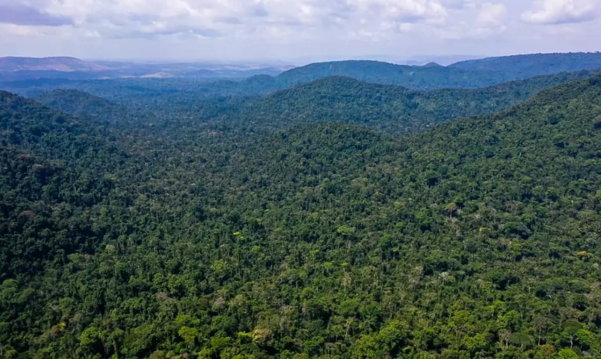 Amazônia