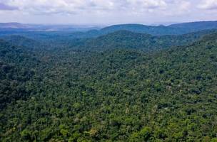 Amazônia (Foto: Arquivo/TV Brasil)