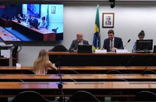 Audiência Pública (Foto: Câmara dos Deputados)