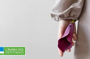 Dignidade Menstrual (Foto: Freepik)