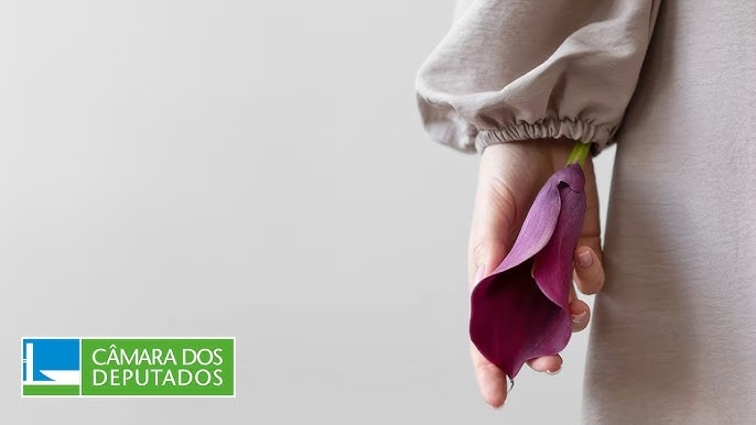 Dignidade Menstrual