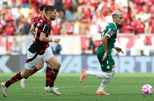 Flamengo e Palmeiras farão final da Libertadores (Foto: Cesar Greco/Palmeiras)