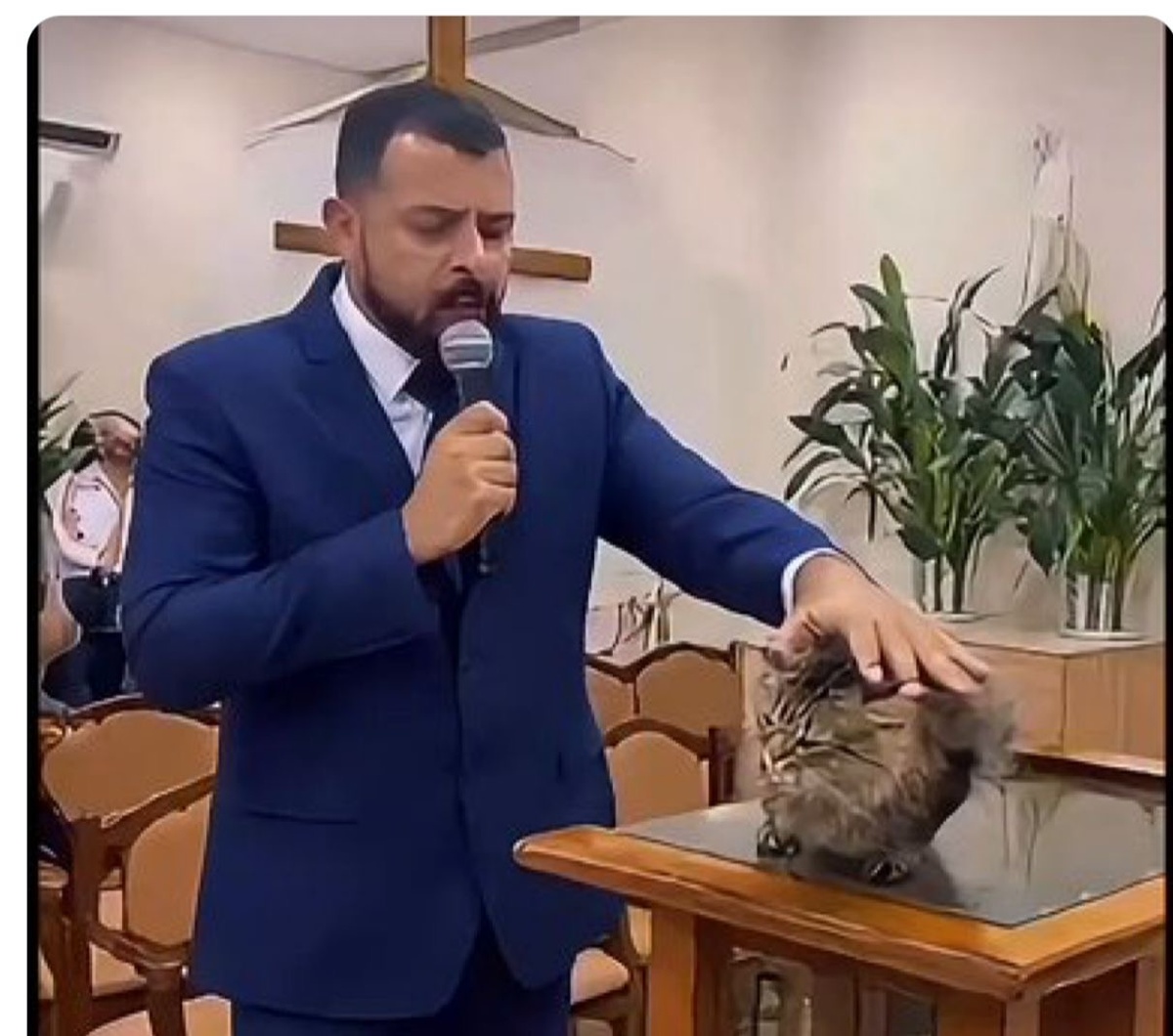O pastor e o gato. Quem está endiabrado?