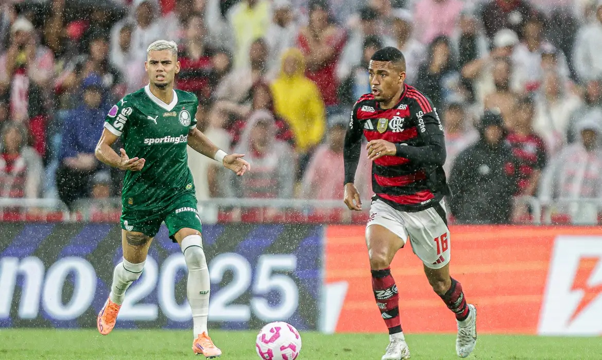 Palmeiras e Flamengo