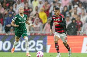 Palmeiras e Flamengo (Foto: Reprodução)