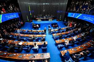Senado (Foto: Reprodução)