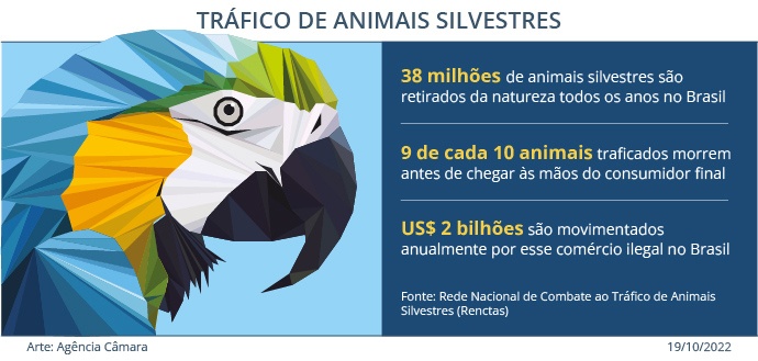 Tráfico de Animais Silvestres