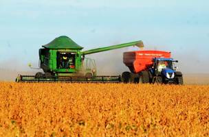 Agronegócio sustenta superávit e garante saldo positivo ao Piauí no comércio exterior em 2025 (Foto: Secom)