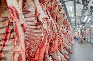Canadá reabre mercado ao frango do Brasil e Japão avança em auditoria da carne (Foto: Abiec/Divulgação)