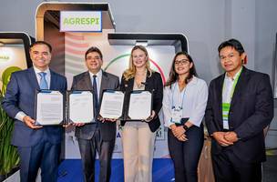 Piauí ganha regulação própria para fiscalizar energia com acordo Aneel-Agrespi (Foto: Reprodução/Gov Pi)