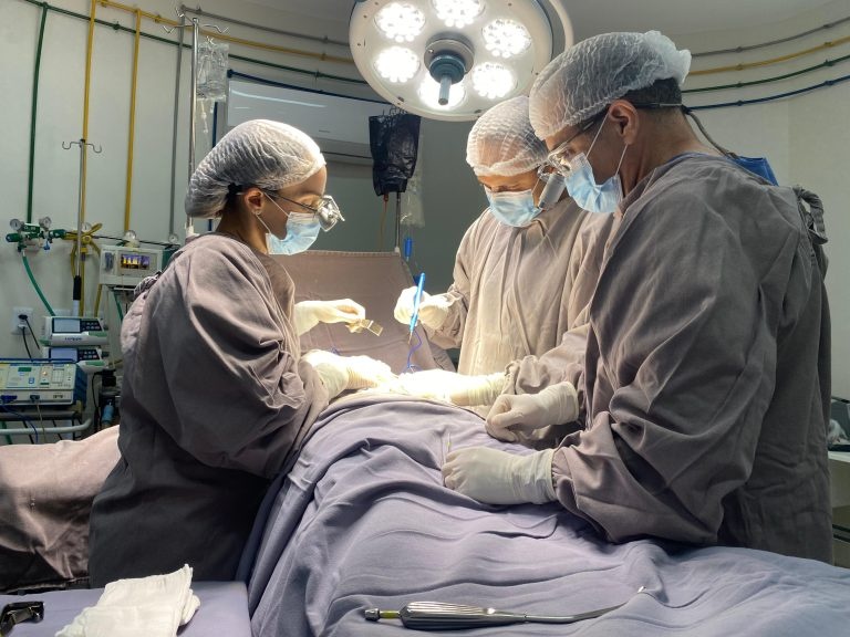 Transplantes avançam no Piauí e batem recordes em 2025