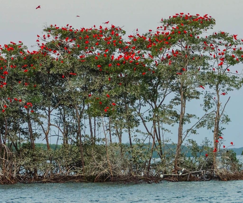Turismo no Piauí cresce