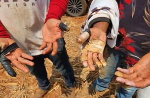 Trabalhadores em situação análoga à escravidão (Foto: Divulgação)