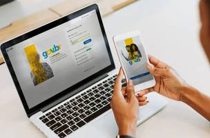 Fraude em contas da plataforma Gov.br (Foto: Portal Gov/Divulgação)