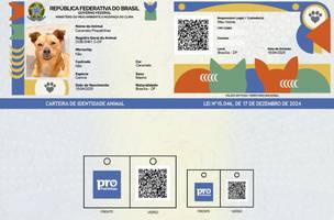 RG para pets está disponível a partir desta sexta-feira (23) em Teresina (Foto: Governo Federal)