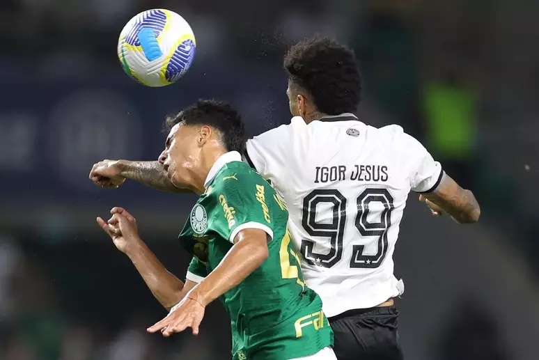 Botafogo X Palmeiras