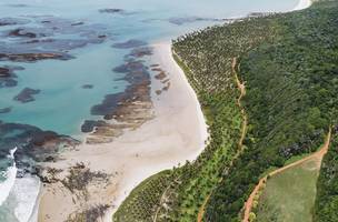 Reserva Pituba, frente ao mar de Alagoas (Foto: Reserva Pituba)