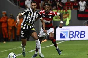 Flamengo possui leve vantagem sobre o Santos em confrontos diretos no Brasileirão (Foto: Mateus Bonomi/AGIF)