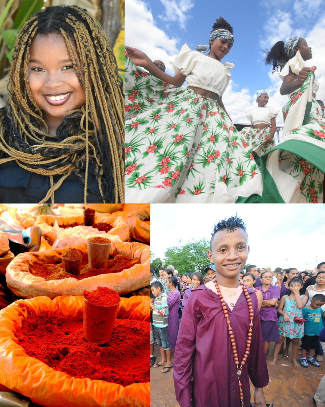 Livro Imagens do Piauí: Culturas Populares