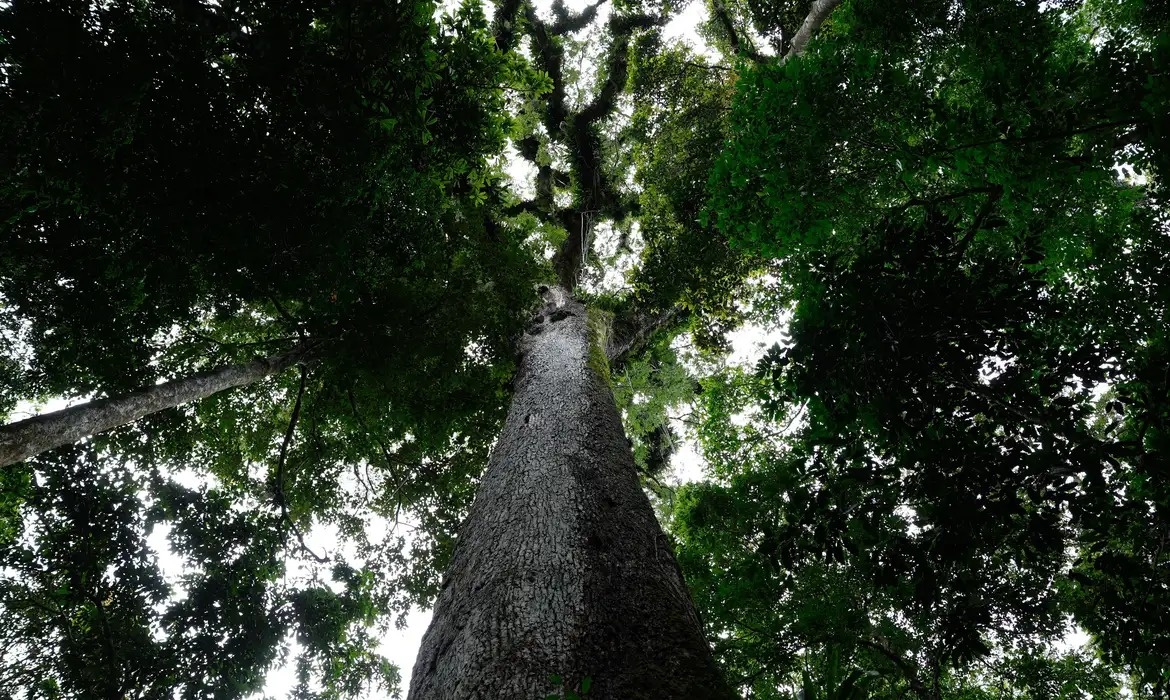 PL do Licenciamento Ambiental