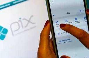 vai permitir a empreendedores crédito parecido com o consignado (Foto: Novo Pix)
