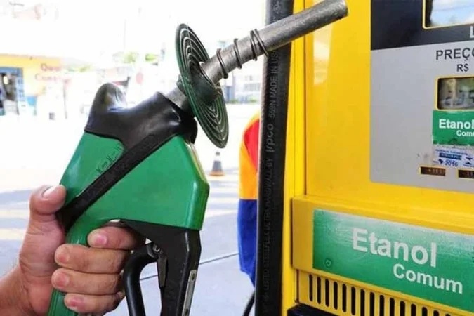 Cana-de-açúcar é a base do etanol, combustível renovável para veículos.