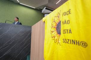 capa (Foto: Reprodução | Alepi)