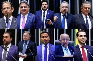 Deputados federais (Foto: Reprodução)