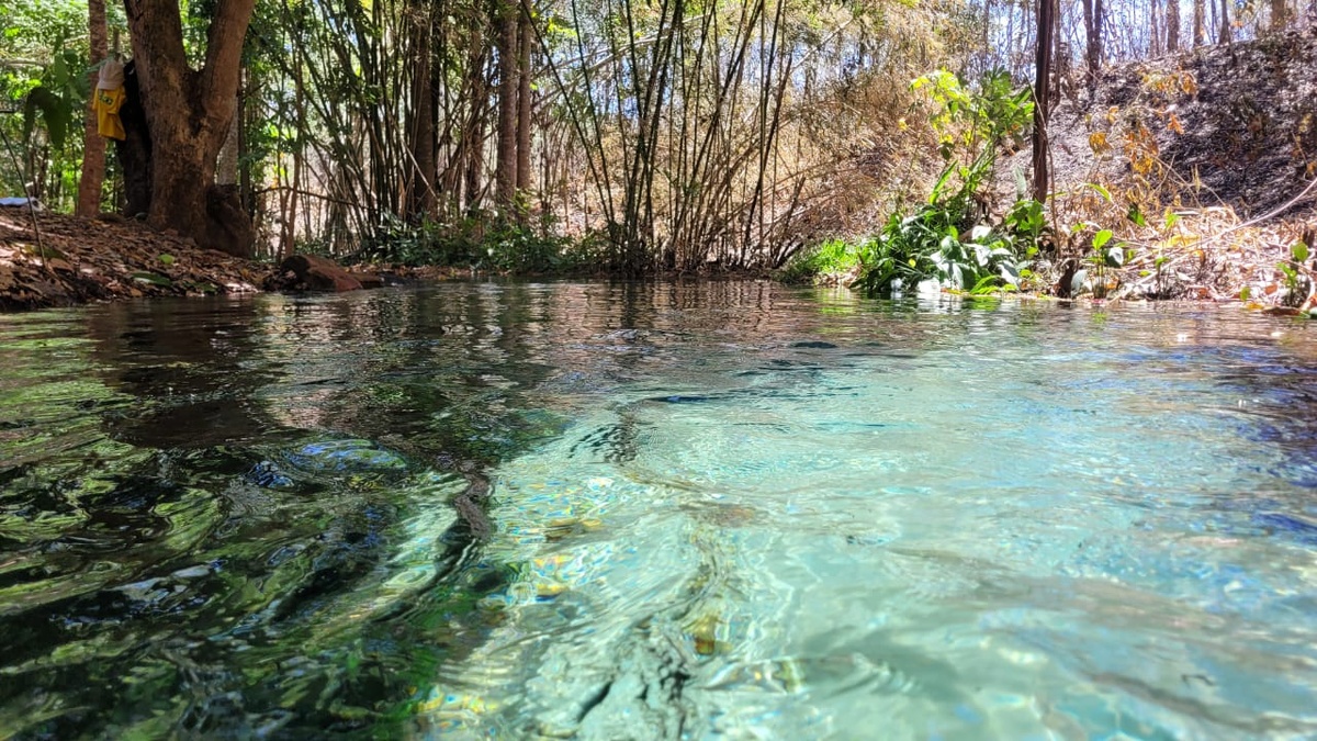 Nascente Galiota, em Ribeiro Gonçalves.