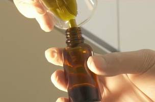 Anvisa amplia uso medicinal da cannabis e libera canabidiol manipulado (Foto: Reprodução/Jornal Nacional)