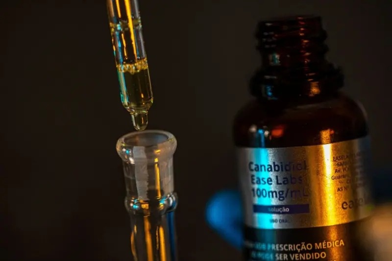 Anvisa autoriza cultivo de cannabis medicinal e para pesquisa no Brasil