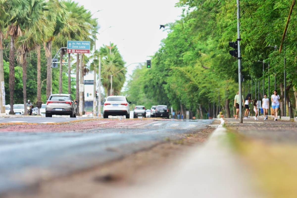 Caminhada Janeiro Branco mobiliza Teresina por atenção à saúde mental