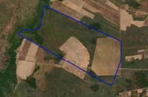Fazenda da Golden Agro no sul do Piauí vai a leilão com lance inicial de R$ 7,2 mi (Foto: Reprodução)