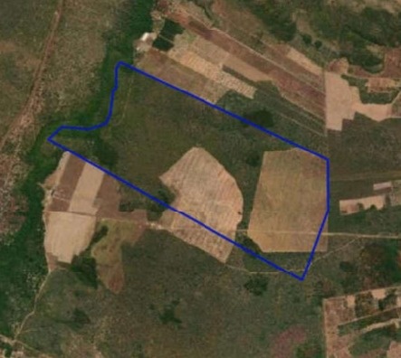 Fazenda da Golden Agro no sul do Piauí vai a leilão com lance inicial de R$ 7,2 mi