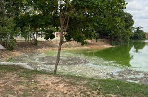 Fiscalização encontra descarte irregular e degradação na Lagoa da Nova Brasília (Foto: Divulgação/PMT)
