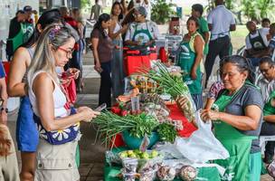Quitanda da Agricultura Familiar volta a movimentar a UFPI em Teresina (Foto: Geirlys Silva / SAF)