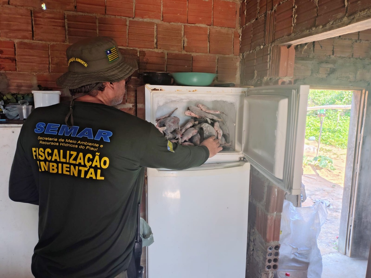 Semarh apreende 66 kg de peixe em pesca ilegal no sul do Piauí